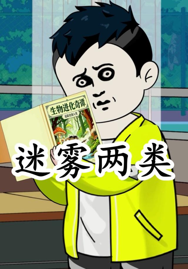 迷雾两类