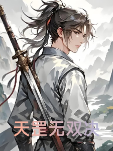 天罡无双决 cover