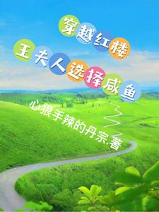 穿越红楼，王夫人选择咸鱼 cover