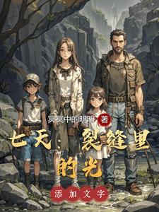 七天：裂缝里的光 cover