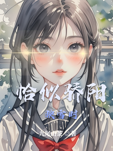 恰似骄阳映雪时 cover