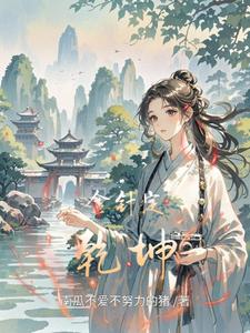 金针定乾坤 cover