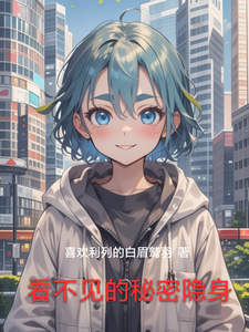 看不见的秘密隐身 cover