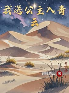 我送公主入青云 cover