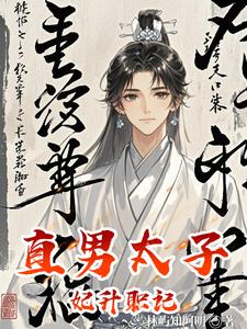 直男太子妃升职记 cover