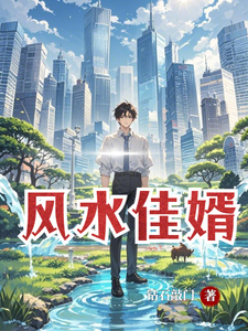 风水佳婿 cover
