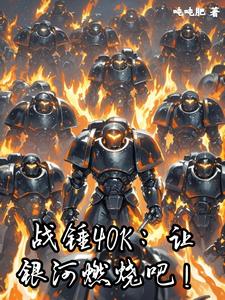 战锤40K:让银河燃烧吧! cover