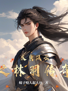 大唐风云之林羽传奇 cover