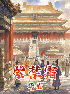 紫禁霜华录 cover