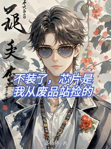 不装了,芯片是我从废品站捡的 cover