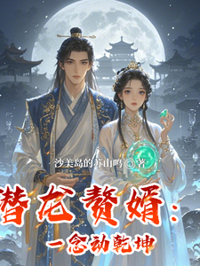 潜龙赘婿:一念动乾坤 cover