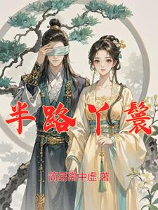 半路丫鬟 cover