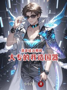 清北硅谷搬砖,大专的我造国器 cover
