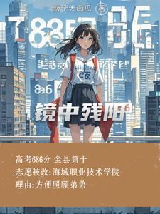 镜中残阳 cover