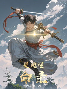 星魂逆命录 cover