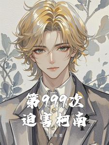第999次迫害柯南 cover