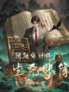 阴阳审计师：生死账簿 cover