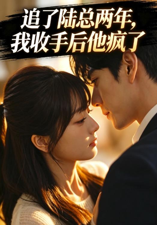 追了陆总两年，我收手后他疯了 cover