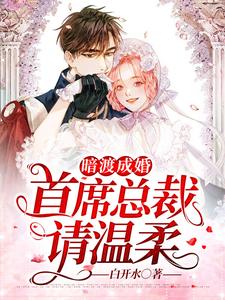 暗渡成婚：首席总裁请温柔 cover