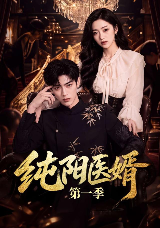 纯阳医婿第一季 cover