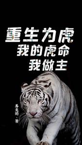 重生为虎,我的虎命我做主 cover