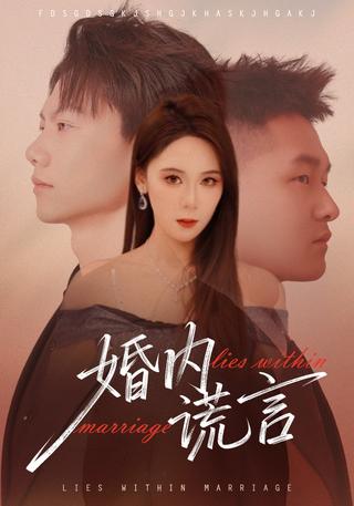 婚内谎言封面图