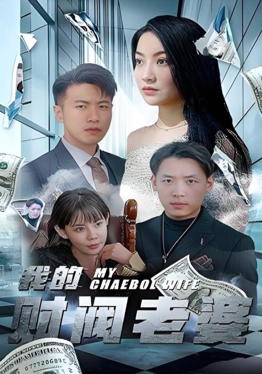 我的财阀老婆