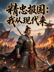 精忠报国：我从现代来 cover