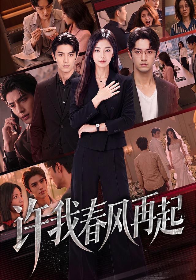 许我春风再起 cover