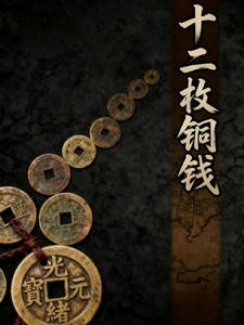 12枚铜钱 cover