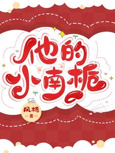 他的小南栀 cover