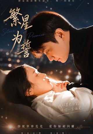 繁星为誓封面图