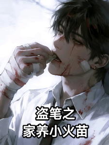 盗笔之家养小火苗 cover
