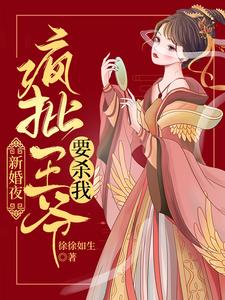 新婚夜，疯批王爷要杀我 cover