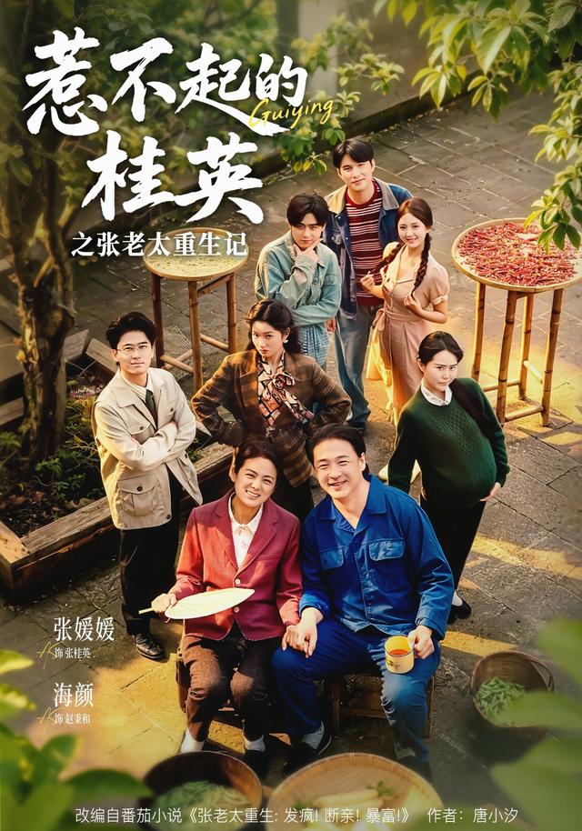 惹不起的桂英之张老太重生记