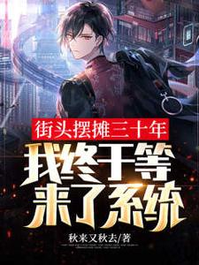 街头摆摊三十年,我终于等来了系统 cover