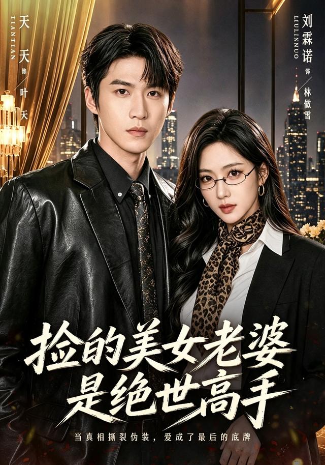 捡的美女老婆是绝世高手