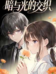 暗与影的交织 cover