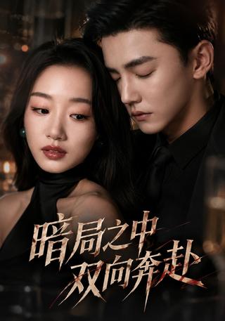 暗局之中双向奔赴封面图