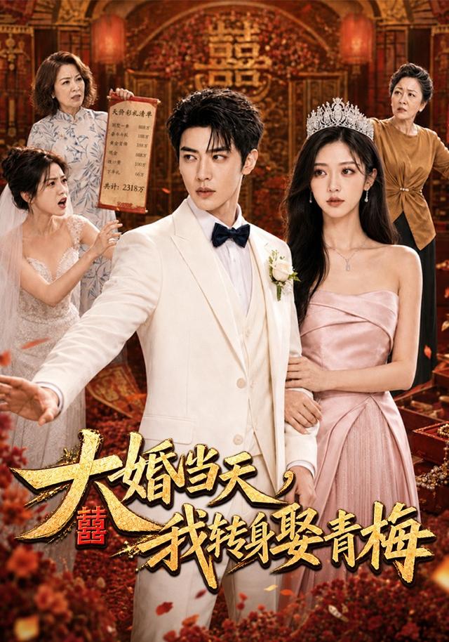 大婚当天，我转身娶青梅 cover
