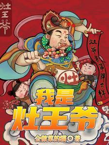 我是灶王爷 cover