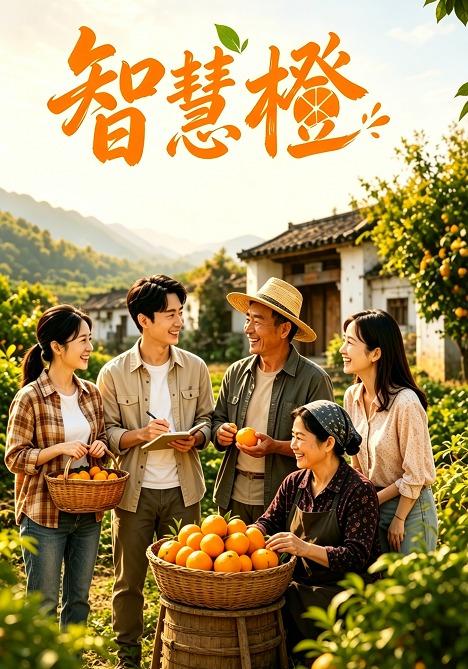 智慧橙封面