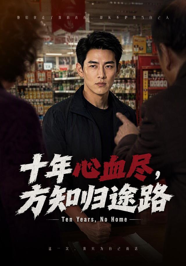 十年心血尽，方知归途路 cover