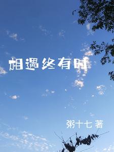 相遇终有时 cover