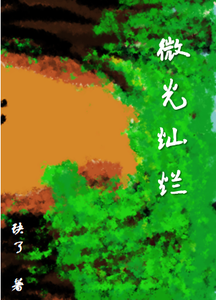 微光灿烂 cover