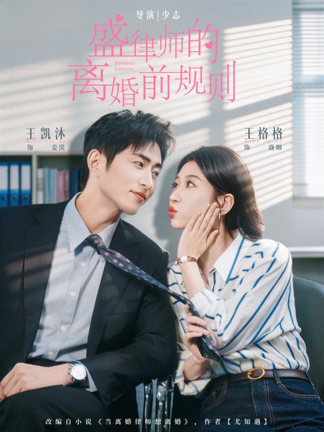 短剧《盛律师的离婚前规则》海报