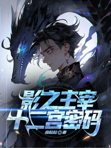 影之主宰:十二宫密码 cover