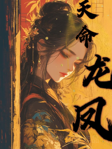 天命龙凤 cover