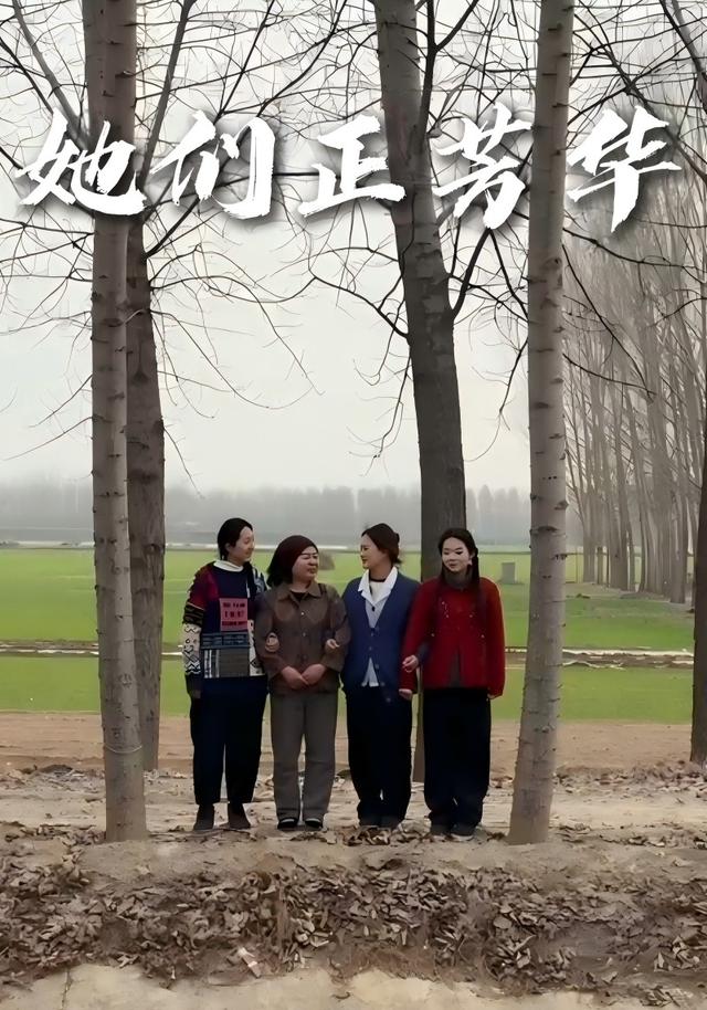 她们正芳华 cover