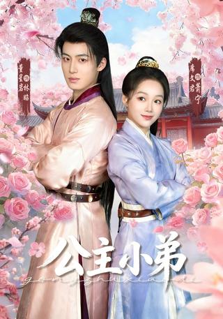 公主小弟封面图